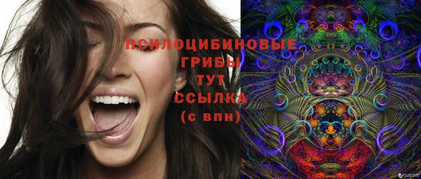 а пвп мука Алексеевка