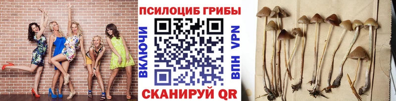 Галлюциногенные грибы Cubensis  mega зеркало  Киров 